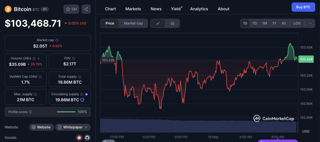 نمودار قیمت و اطلاعات بازار بیت کوین - منبع: CoinMarketCap